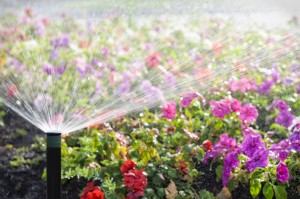 spring sprinkler set-up