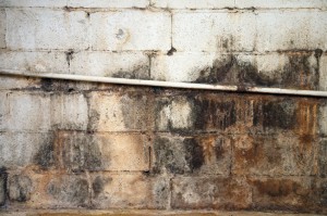 Water damaged and moldy basement wall
