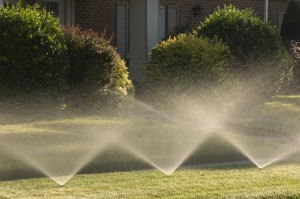 irrigation system