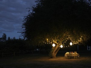 Safe Outdoor Lighting