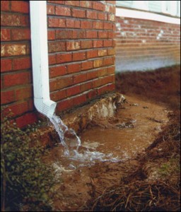 A drainage system in working order can not only save you money and use water more effectively, but make your home look even more beautiful. 
