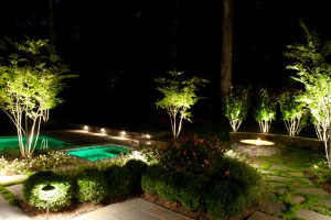 Outdoor lighting can increase safety and security while highlighting the beautiful elements of your yard or deck. 