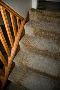 Wet carpet is the ideal environment for unpleasant and even dangerous mold and mildew to grow. Learn more about water damage. 