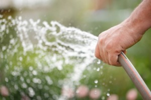 hand water your lawn irrigation