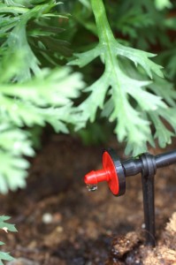 micro drip irrigation