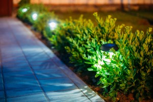 Pathways are among the most popular feature homeowners plan to upgrade, with an increasing interest in LED lighting. 