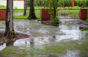 lawn after a flood