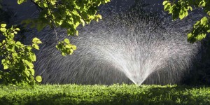 It's time to start managing your irrigation system for fall. 