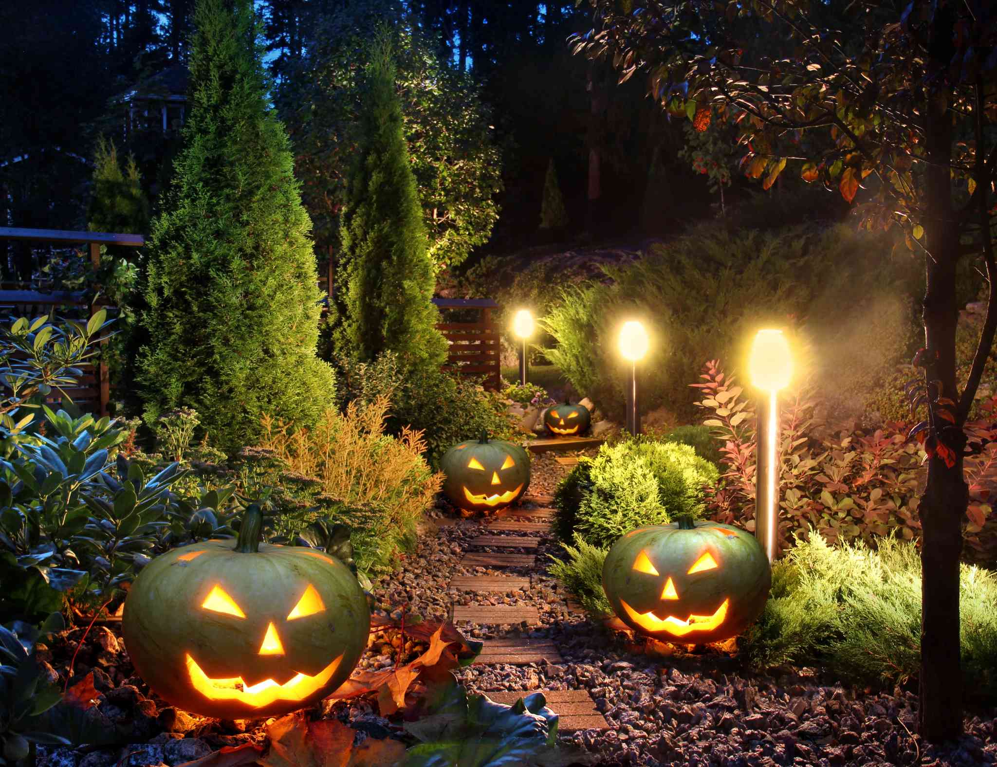 5 Scary Ways To Light Up Your Yard For Halloween Maryland, DC