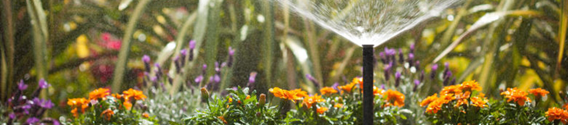 irrigation system installer