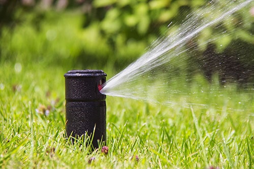 Commercial Lawn Sprinkler Start Ups & Cleaning