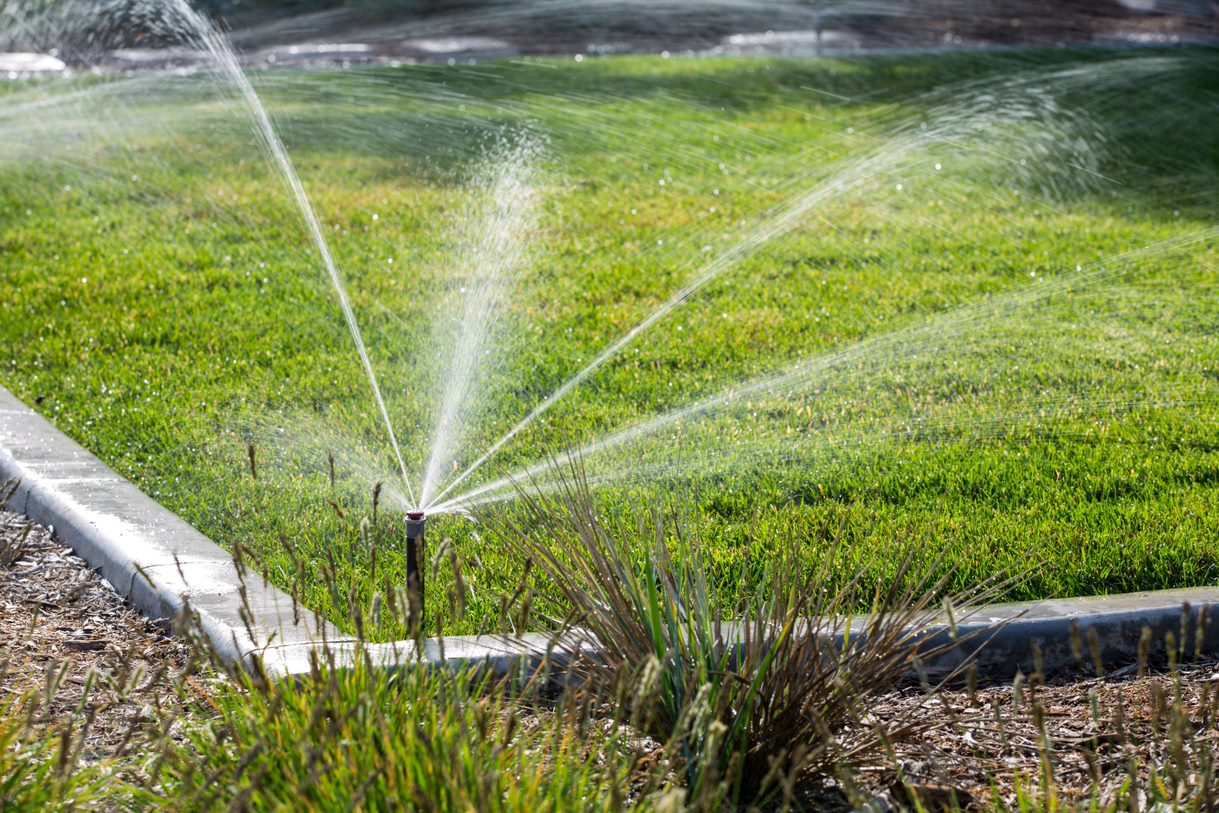 The Benefits of Installing a Sprinkler System