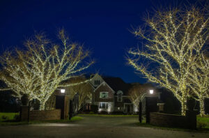 aqua-bright outdoor holiday lighting installation services in Annapolis Overlook