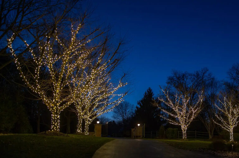 aqua-bright commercial christmas outdoor lighting