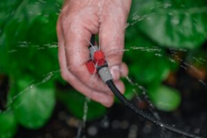 aqua-bright drip irrigation