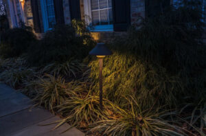 aqua-bright commercial landscape lighting systems in Potomac