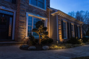 aqua-bright landscape lighting services in Worthington